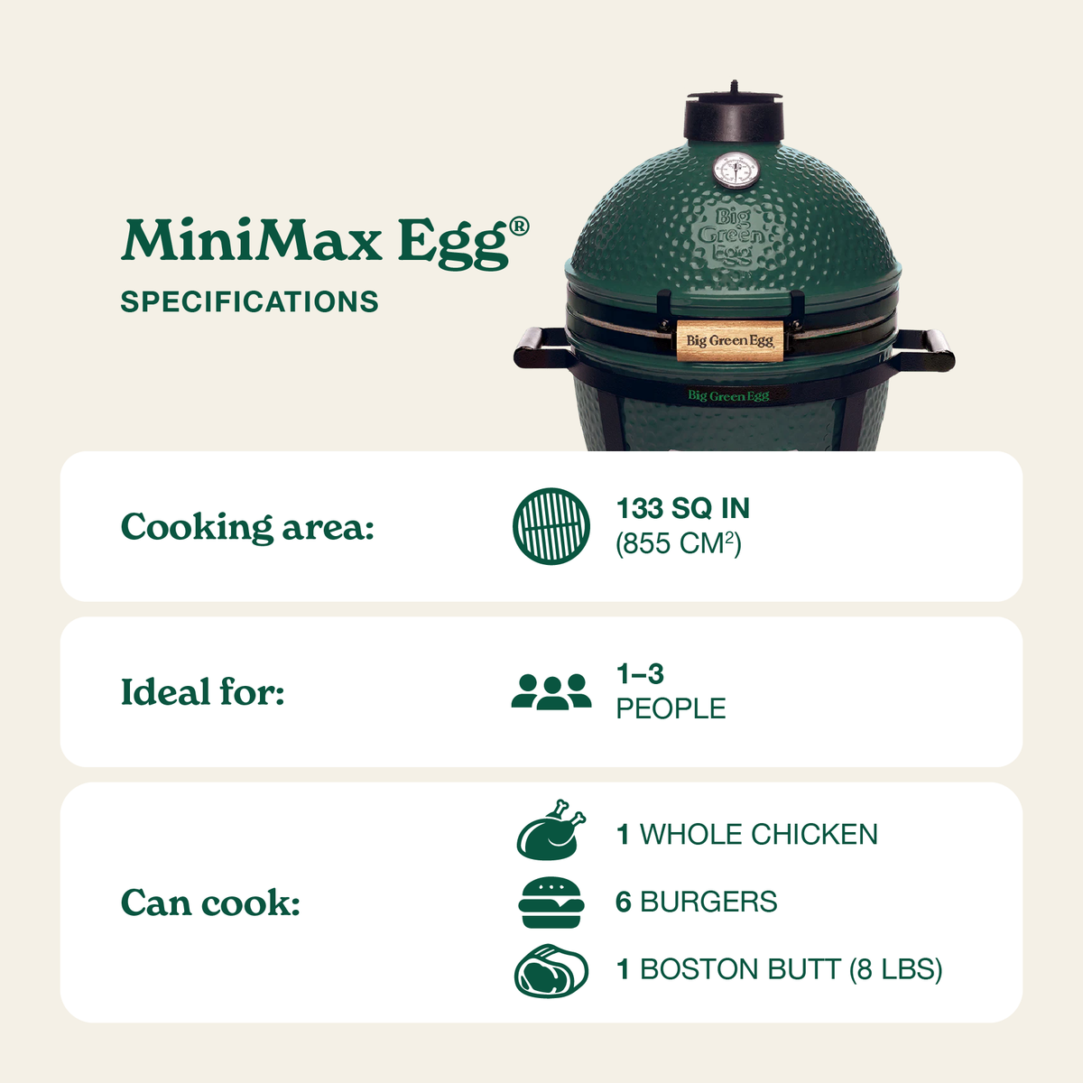 MiniMax Big Green Egg Package