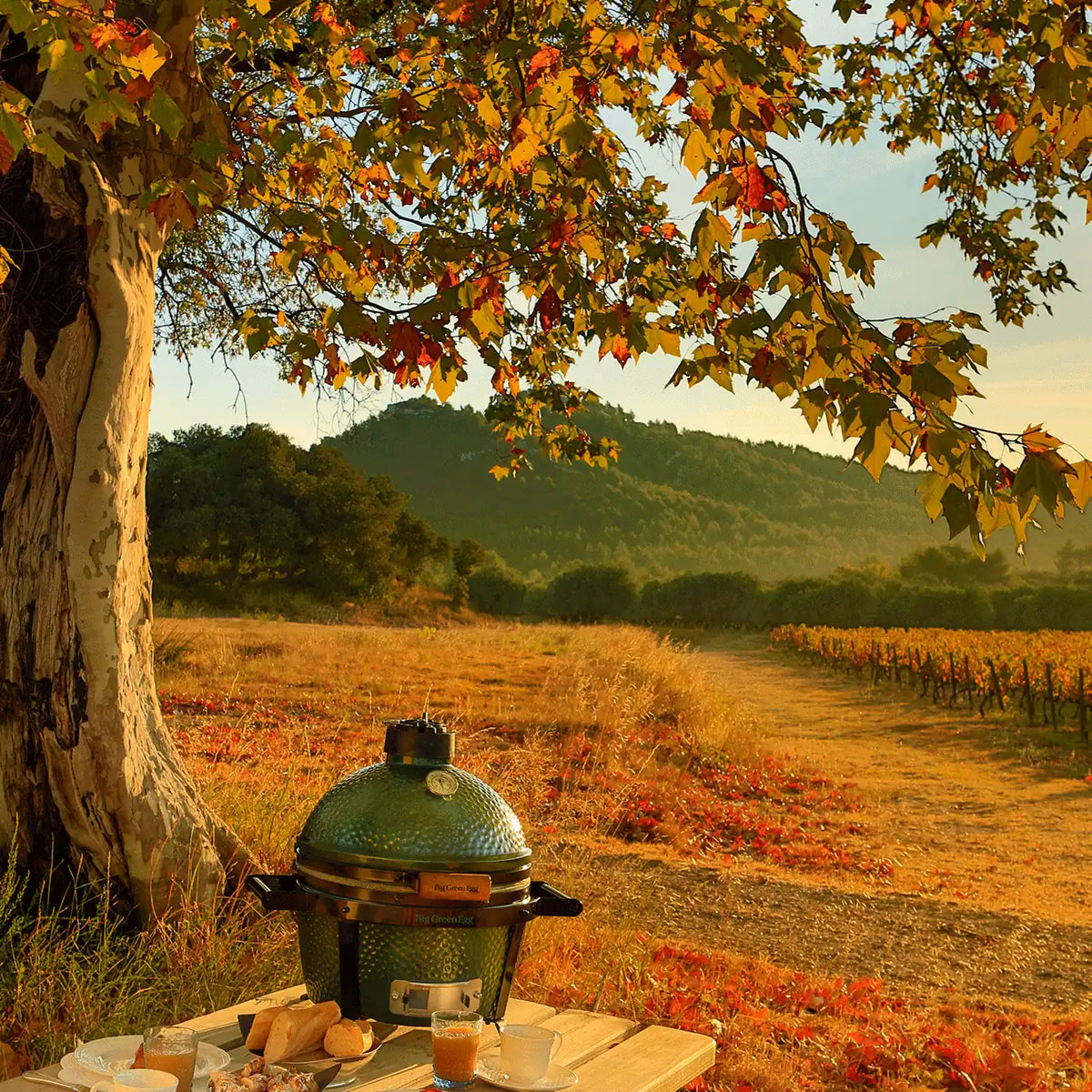 MiniMax Big Green Egg Package